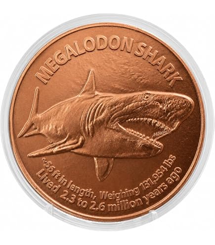 Amazon.com: Grizzly Bear Design 1 oz Pure Copper Round - .999 Fine